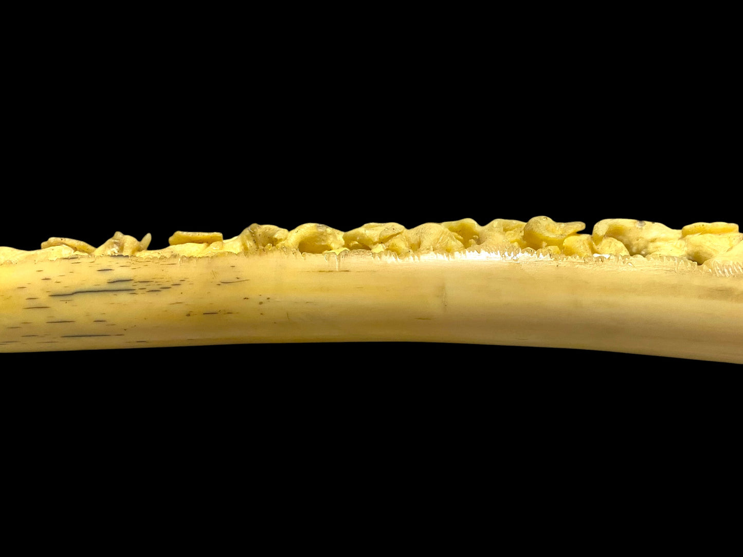 Rare and Exceptional Antique Ivory Masterpiece